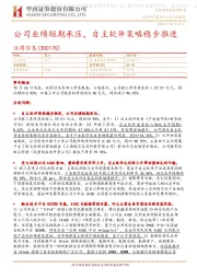 公司业绩短期承压,自主软件策略稳步推进