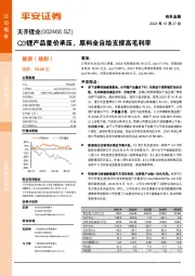 Q3锂产品量价承压，原料全自给支撑高毛利率