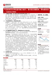 东威科技点评报告：产品结构优化带动盈利能力提升；看好复合集流体、铜电镀设备