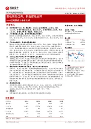 营收表现优秀，新品落地在即