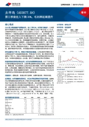 第三季度收入下降20%，毛利率延续提升