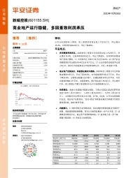 商业地产运行稳健,多因素致利润承压