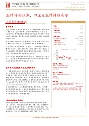 业绩符合预期,双主业业绩持续亮眼