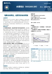 短期业绩承压，进军光伏未来可期