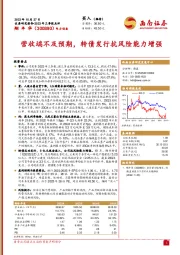 2023年三季报点评：营收端不及预期，转债发行抗风险能力增强