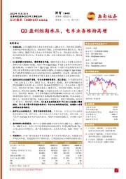 2023年三季报点评:Q3盈利短期承压,电车业务维持高增