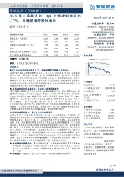 2023年三季报点评：Q3归母净利润同比+17%，业绩增速阶段性承压