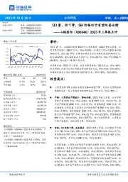 2023年三季报点评：Q3量、价下滑，Q4价格回升有望改善业绩