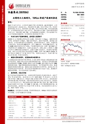 国联证券-公司季报点评-业绩同比大幅增长，TOPCon新建产能顺利推进