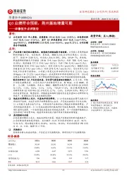 Q3业绩符合预期,荆州基地增量可期