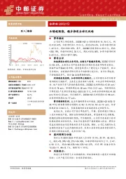 派斯林三季报业绩点评：业绩超预期，稳步推进全球化战略