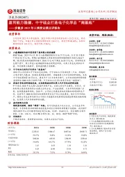 盈利能力稳健,中宁硅业打造电子化学品“南基地”