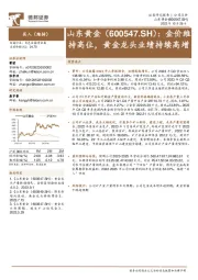 金价维持高位,黄金龙头业绩持续高增