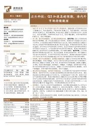 Q3加速显超预期,海内外市场持续靓丽