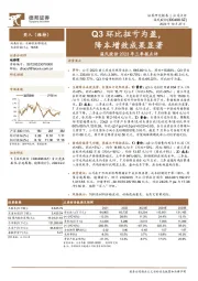 2023年三季报点评：Q3环比扭亏为盈，降本增效成果显著