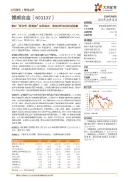 看好“新材料+新能源”双轮驱动，高端材料实现快速放量