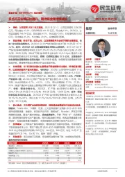 动态报告:多点开花业绩环比提升,期待铜金锂持续成长