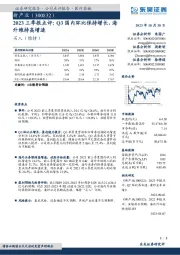 2023三季报点评:Q3国内环比保持增长,海外维持高增速