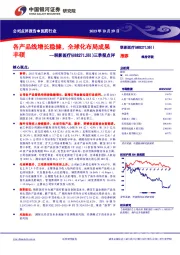 三季报点评：各产品线增长稳健，全球化布局成果丰硕