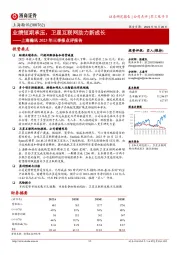 业绩短期承压,卫星互联网助力新成长