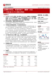 业绩暂时承压,有望受益于“鹏腾”生态