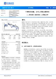 三季报点评:下游需求放缓,公司三季度业绩承压