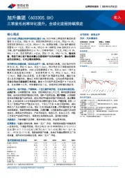 三季度毛利率环比提升，全球化进程持续推进