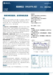 归母净利润高增，定增落地助发展