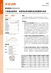 三季度业绩承压,运营商业务和国际业务发展势头良好