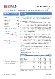 业绩高增长，业务多元化布局有望驱动未来业绩