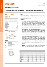 CMP等设备国产化市场畅旺，营收和利润延续较快增长