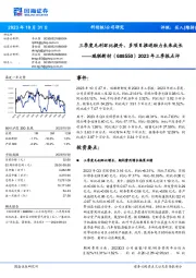 2023年三季报点评:三季度毛利环比提升,多项目推进助力未来成长