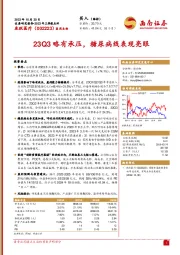 2023年三季报点评：23Q3略有承压，糖尿病线表现亮眼