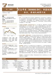 销量短期承压,高端化趋势不改