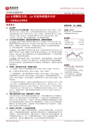 太阳纸业点评报告:Q3业绩靓丽兑现,Q4有望持续稳步向好