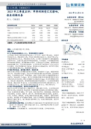 2023年三季度点评：单季利润受汇兑影响，报表持续改善