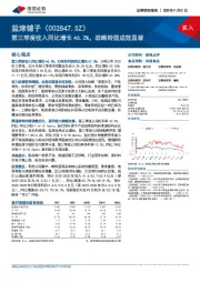 第三季度收入同比增长46.2%，战略转型成效显著