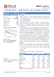 营收稳步增长，持续研发投入奠定长期成长驱动力