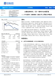 2023年三季报点评报告：业绩底部承压，C3一期项目全线贯通