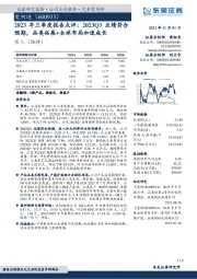 2023年三季度报告点评：2023Q3业绩符合预期，品类拓展+全球布局加速成长