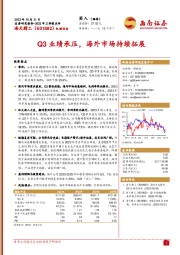 2023年三季报点评：Q3业绩承压，海外市场持续拓展