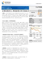 业绩短期承压,新能源需求促长期成长