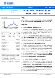 2023年三季报点评：Q3业绩正向增长，积极推进多元算力创新