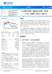 2023年三季报点评：Q3业绩环比微降，磷肥盈利有望进一步修复