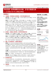 水羊股份2023年三季报点评报告：非经因素+品牌调整扰动业绩，伊菲丹稳健兑现