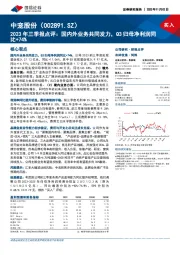 2023年三季报点评:国内外业务共同发力,Q3归母净利润同比+74%