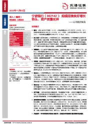 公司简评报告：规模延续良好增长势头，资产质量优异