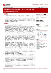 天然碱项目投放持续推进,看好公司未来发展