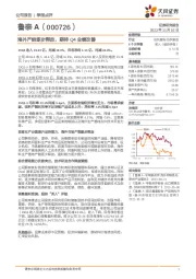 海外产能逐步释放，期待Q4业绩改善