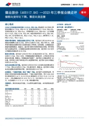 2023年三季报业绩点评：储能出货环比下降，微逆出货改善